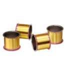 금보유전자 이미지