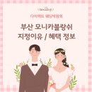 카페모니카 | 부산 모니카블랑쉬 드레스샵 지정 이유 혜택 정보