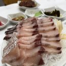 조일식당 | 여수 횟집 조일식당 후기ㅣ현지인맛집 선어회 입에서 녹음