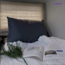 다미세탁 | 강남 역삼동 고시원,원룸 - 다미스테이 강남 역삼동 고시원 다미스테이