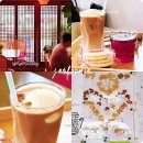 손커피연구소 | 인계동 수제차 맛집 손커피연구소 산머루차 아포카토라떼 후기