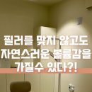 달리핀 에스테틱 이미지