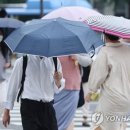 소나기 연합뉴스