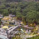 포레스트 리솜 이미지