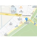 강서 낙동강30리 벚꽃축제(2025년) 네이버블로그