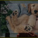 시사교육박물관 김갑진 갤러리 이미지