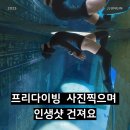 원프리다이빙