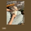 르달링