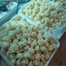 대연병설유치원 이미지