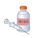 약물 알레르기[Drug allergy응급질환] 이미지