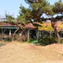 물맑은집 이미지