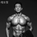 더 레오 핏 네이버블로그