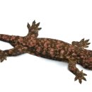 하이퀄리티몰 이미지