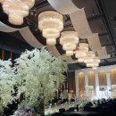 마리드엘 웨딩2 이미지