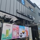 [완주/삼례] 전주 근교 삼례 애견카페 카페드숑 후기 ฅ՞•ﻌ•՞ฅ