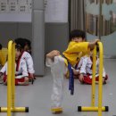 명지 키즈 태권도 이미지