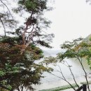 아우라커피 이미지