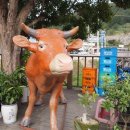 계룡한우 - 광주시 순암로 367-9 | 계룡한우
