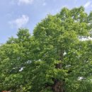 주야1리마을회관 이미지