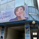 한성아트홀1관 | [2025] 혜은이 썸머파티 한성아트홀 공연 리얼 후기