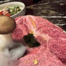 강릉한우금송아지 이미지