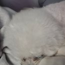 오타쿠 이미지