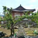 배나무민박 이미지