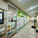 어린이 서점 리스트 정리 베이비올 아기 그레이트북스 유아 전집 추천 터전서점 구매