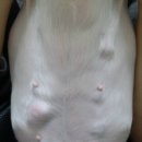 빛고을 동물의료센터 이미지