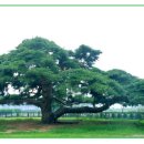 법수펜션 이미지