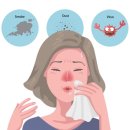 알레르기 비염 막는 생활습관 이미지