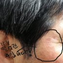 디오 메디칼 이미지