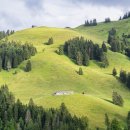 포옹하다 이미지