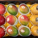 사계절청과 이미지