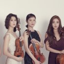 바이올린2 이미지