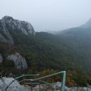 고흥녹동세발낙지 이미지