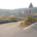 대오염전 네이버블로그