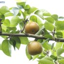 남서울대학교(산업대) 이미지