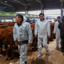 영암시장 이미지