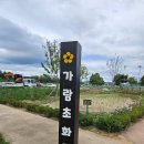 낙동가람 이미지