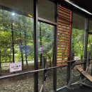 골프기초반 | 강서구 마곡 수영장 및 마곡나루 헬스장 찾을때 엠스타휘트니스 (실제 회원 솔직 후기)