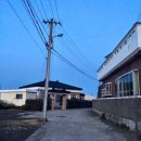 농띠 | 제주 농띠 (숙소정보) 20200418~21, JEJU