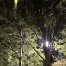 운동에 미쳐버린 트레이너의 미사제이스튜디오 플라잉요가 후기(미사역 플라잉요가 추천)