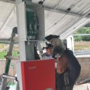 강릉원예농협 태양광발전소 | 강원도 강릉 전원주택 지상거치형 가정용 태양광 설치사례