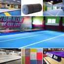 국가대표 라이온 태권도장 이미지