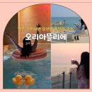 오리 아뜰리에 이미지