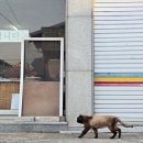 경아슈퍼 이미지