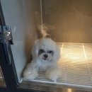 24시청주i동물병원 이미지