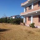 고성버드리민박 이미지