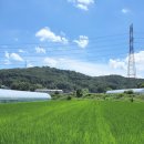 대온식당 이미지